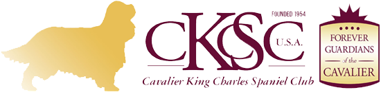 Cavalier King Charles Spaniel Club